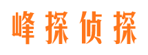 中卫侦探公司